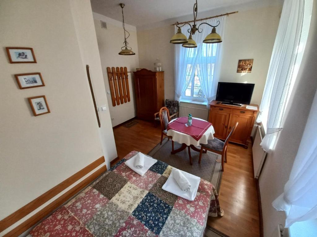 Szwajcarka Willa z sauną i jacuzzi - 19