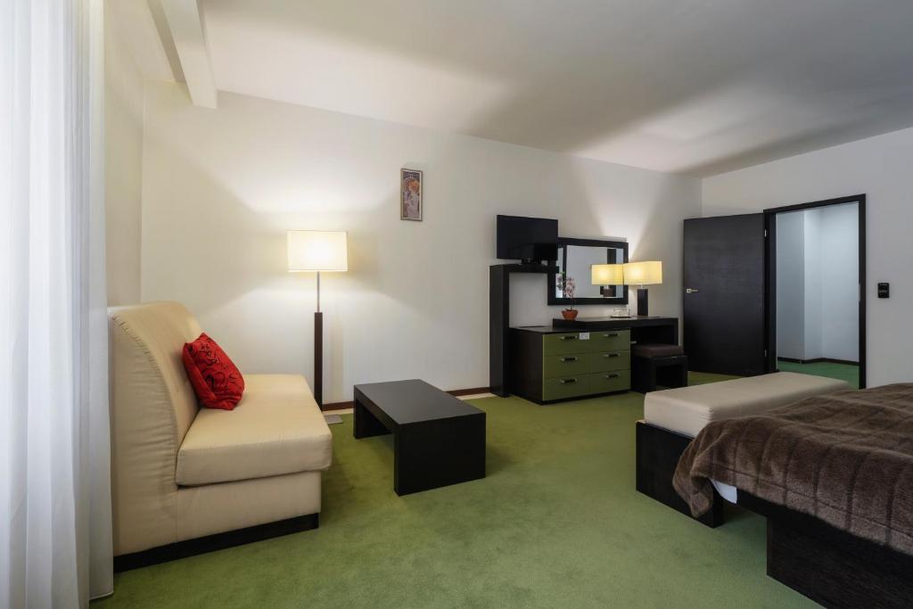 Hotel Astory Plzeň - 高级双人间