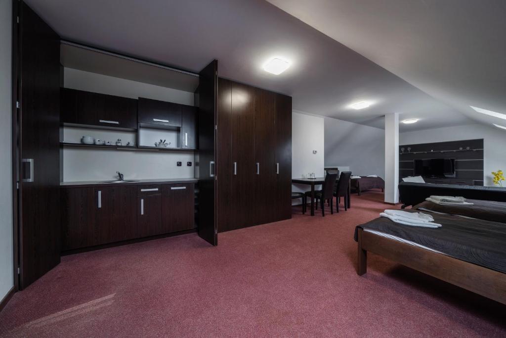 Hotel Astory Plzeň - 家庭工作室