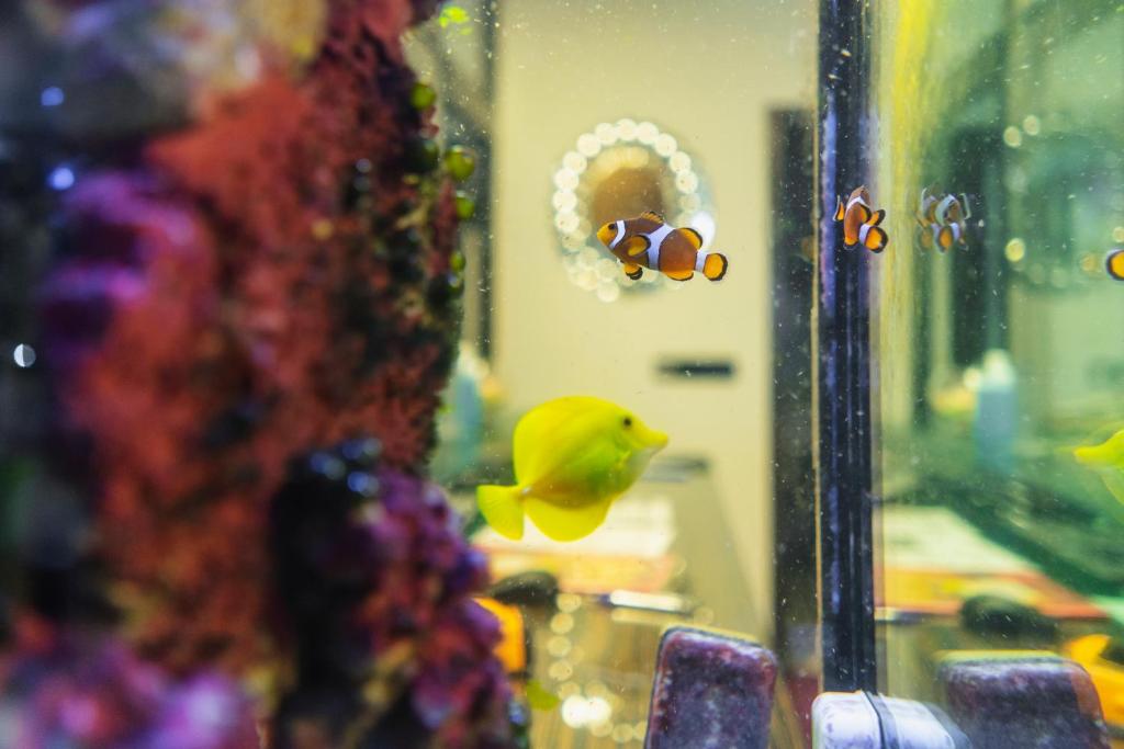 Hotel Astory Plzen - Resim 15