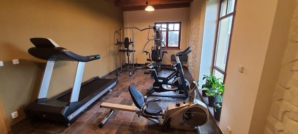 Centrum fitness w obiekcie Hotel a restaurace Palfrig