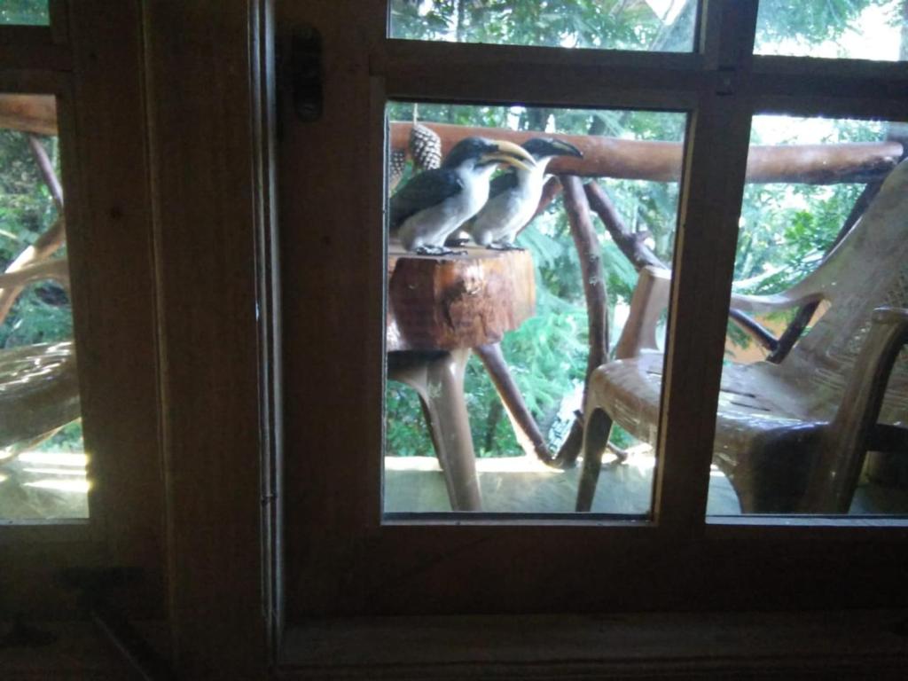 Zvířata v ubytování v soukromí nebo okolí