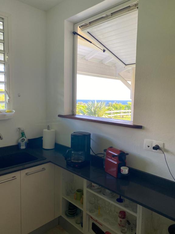 Kuchyň nebo kuchyňský kout v ubytování Villa Prunepassion