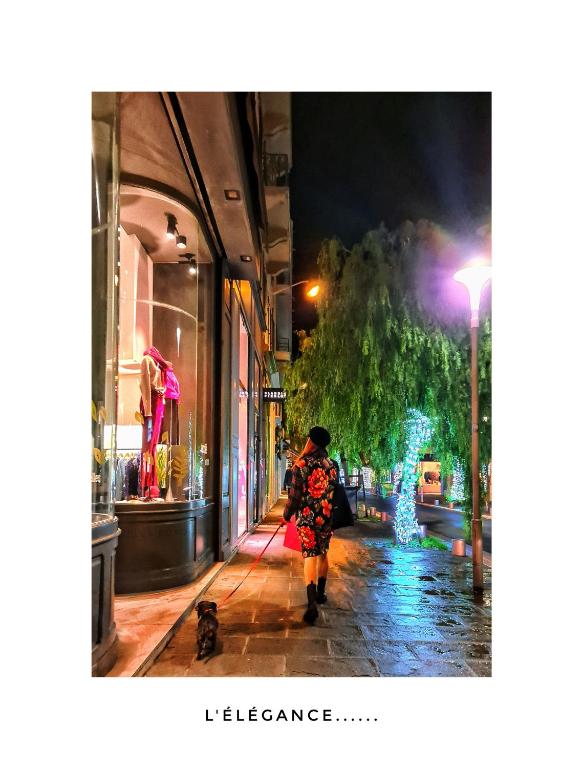 Le Petit Trianon et le Charme des Suites - Resim 10