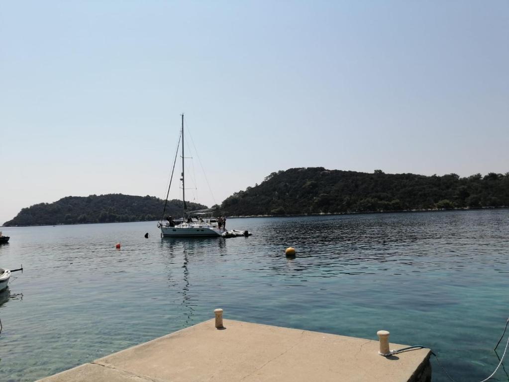 a boat sitting in the water next to a dock at Kuća za odmor Zdravka in Blato