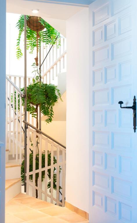 a room with a staircase with a plant at Porta Nova Suites - Room Breakfast & Sea View in Altea