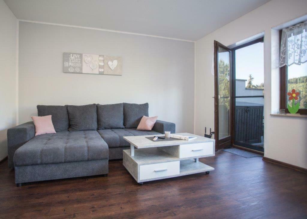 a living room with a gray couch and a coffee table at Ferienwohnung Hillebachsee in Winterberg