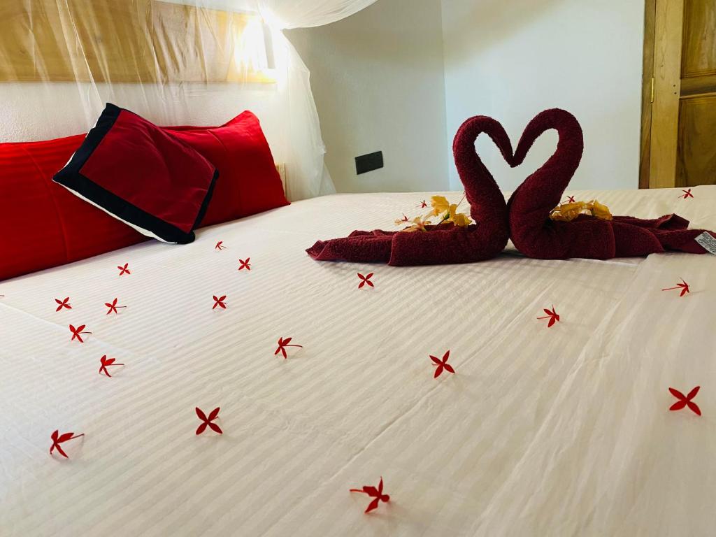 Hidden Garden Tangalle - 9