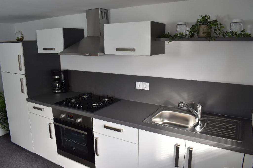 Kuchyň nebo kuchyňský kout v ubytování Apartma VRBA Dobrna