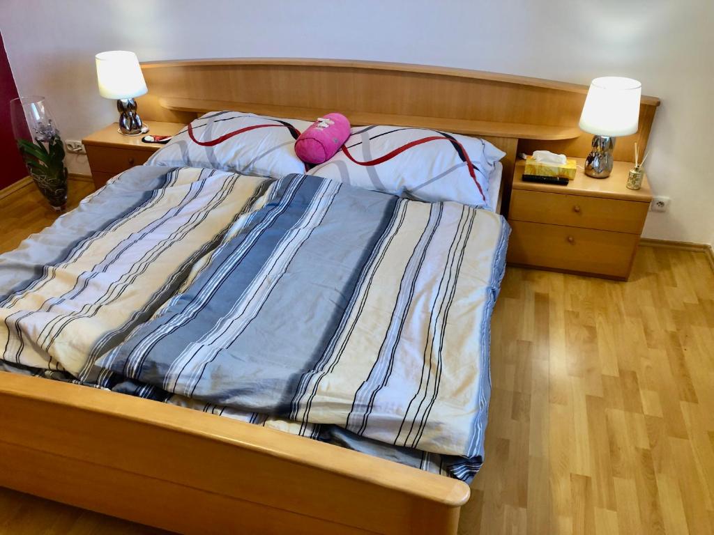 En eller flere senge i et værelse på Apartman Karolina