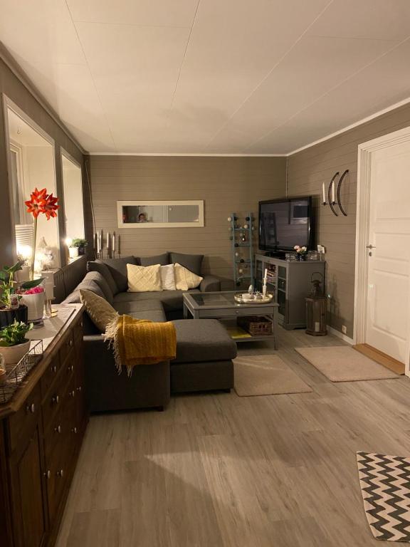 sala de estar con sofá y TV en Lyngen, Mackay appartment, Lyngen, en Lyngseidet
