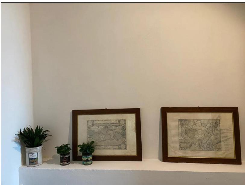 dwa zdjęcia na półce z doniczkami w obiekcie Villa Maria w mieście San Pietro in Cariano