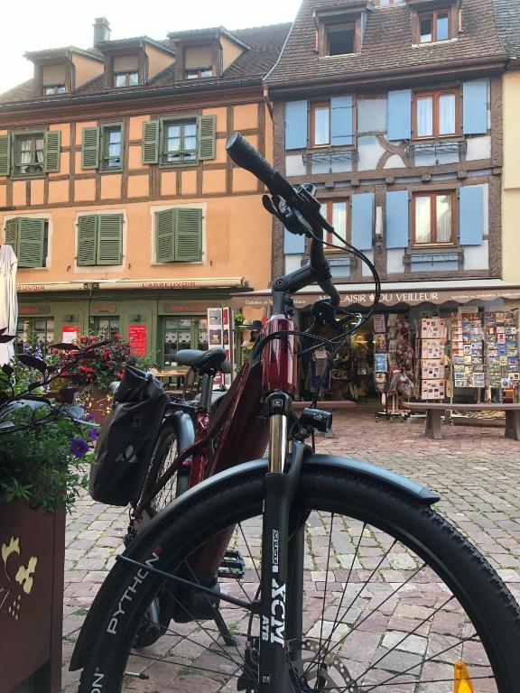 Montar en bicicleta en Hotel Arc-En-Ciel Colmar Contact Hotel o alrededores