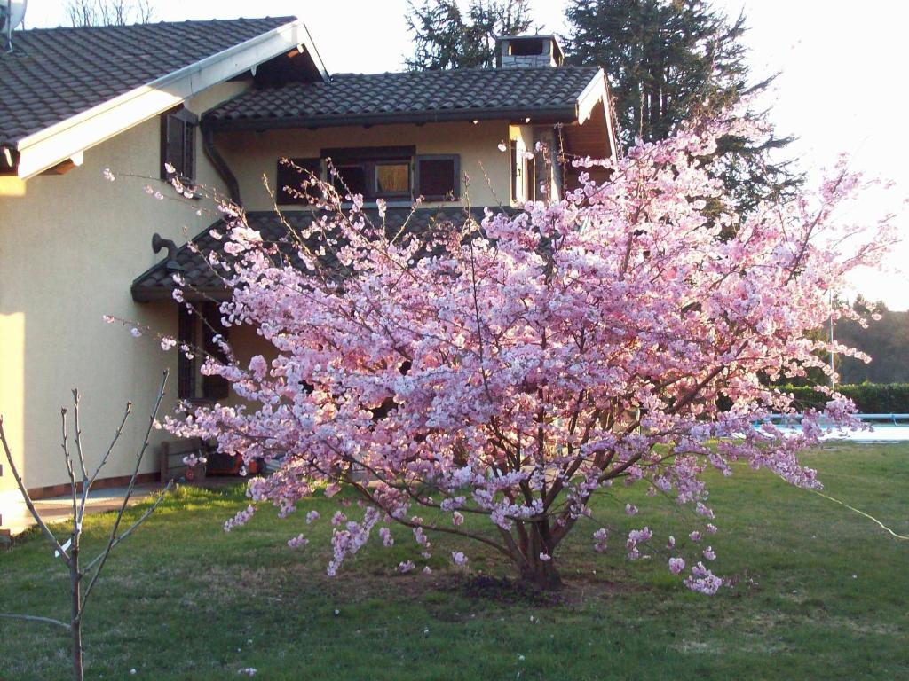 Zahrada ubytování B&B Il Ciliegio