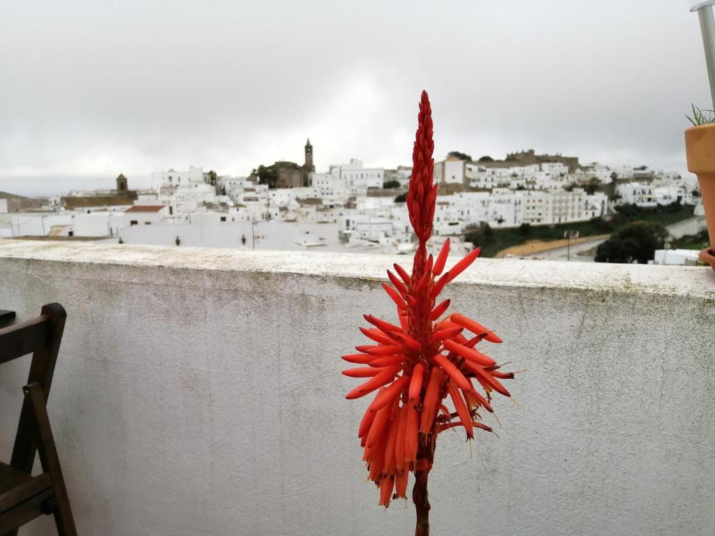 La Guarida de Vejer Casa Rural, Vejer de la Frontera ...