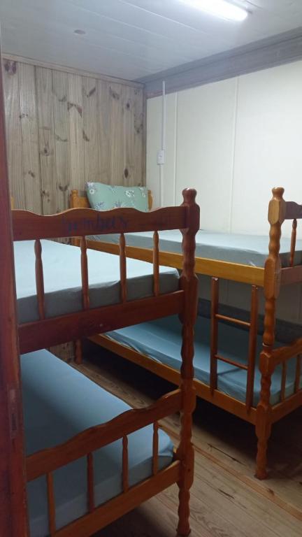 Trip Adventure Hostel - Single Bed In Female Dormitory Room