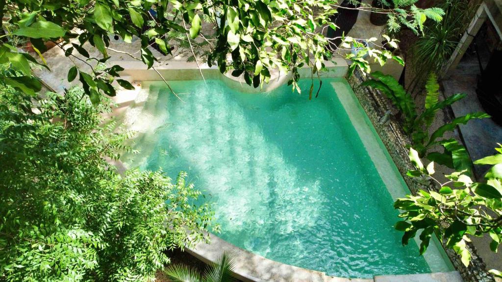 an overhead view of a swimming pool surrounded by trees at Hotel Boutique Refugio 41 in Valladolid