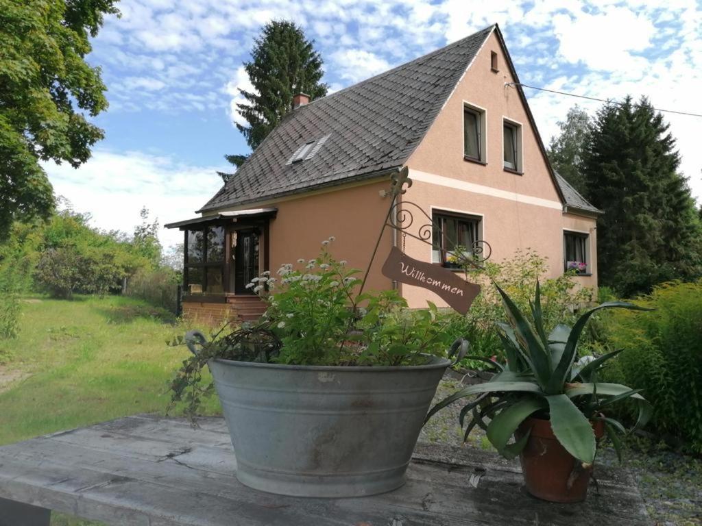 een huis met een potplant ervoor bij Ferienhaus BB2 in Bad Brambach