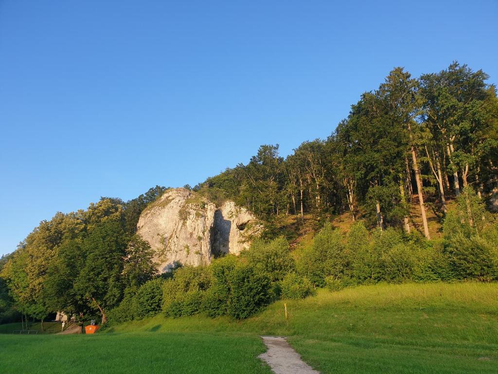 Schelklingenにある2 Zimmer Apartment im UG Schelklingen Biosphärenreservat Schwäbische Albの山を背景にした草原