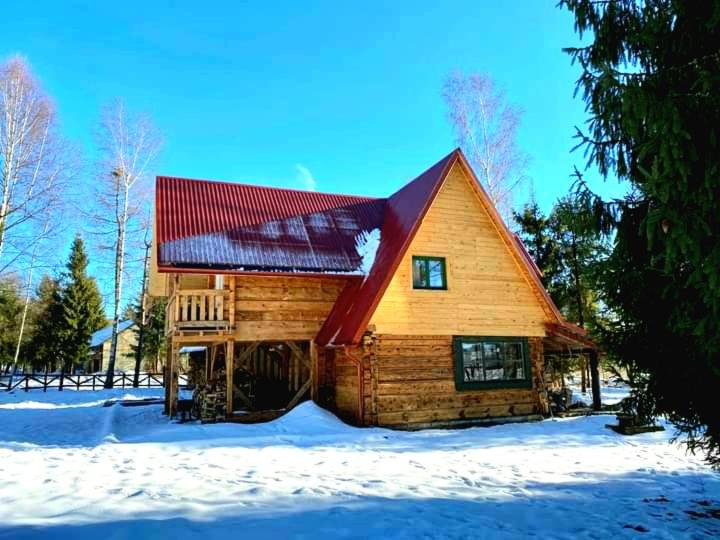 Cabaña de madera con techo rojo en la nieve en Chyża Chata 130m2, en Bystre