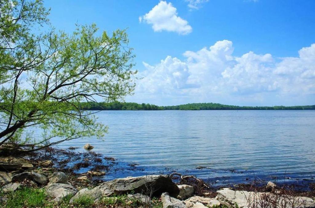 una vista di un grande specchio d'acqua di 1Min to Percy Priest Lake 2 Masters Quiet Family Home a La Vergne