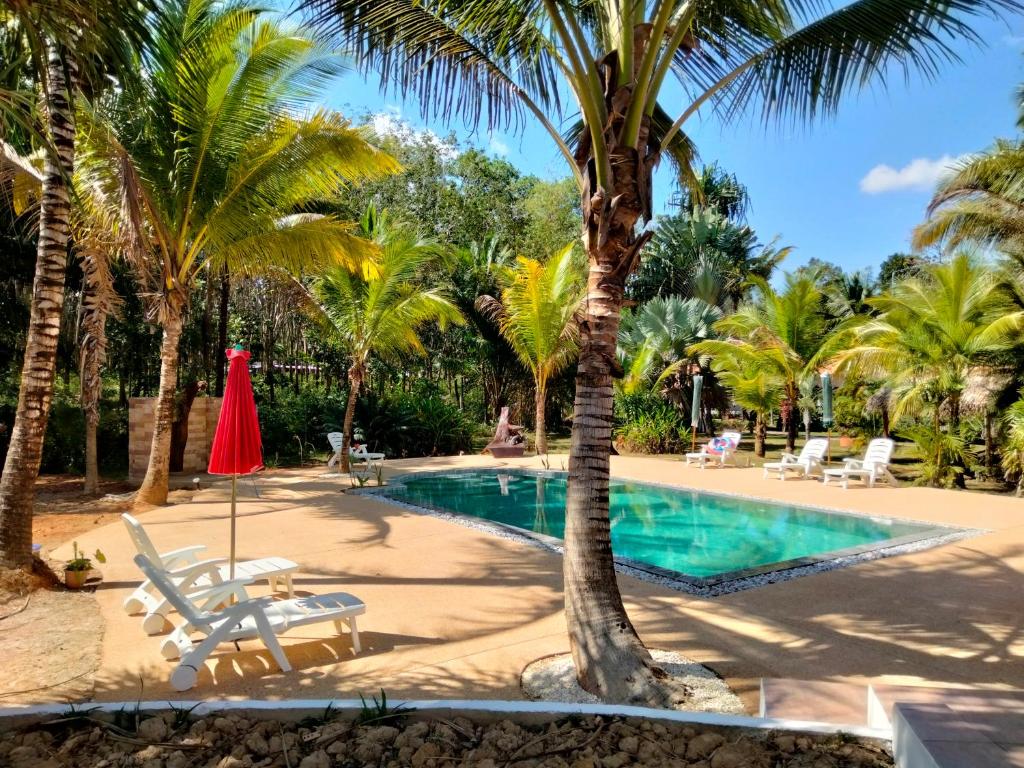 una piscina resort con palmeras y una sombrilla roja en Beautiful Flower Resort en Pak Meng
