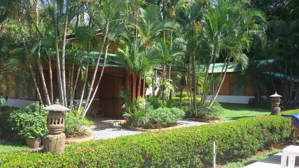 Jungle Village Bungalow - 2