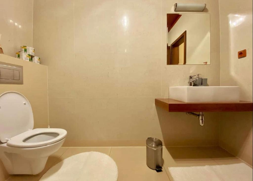 A bathroom at Apartment with beautiful view of High Tatras
