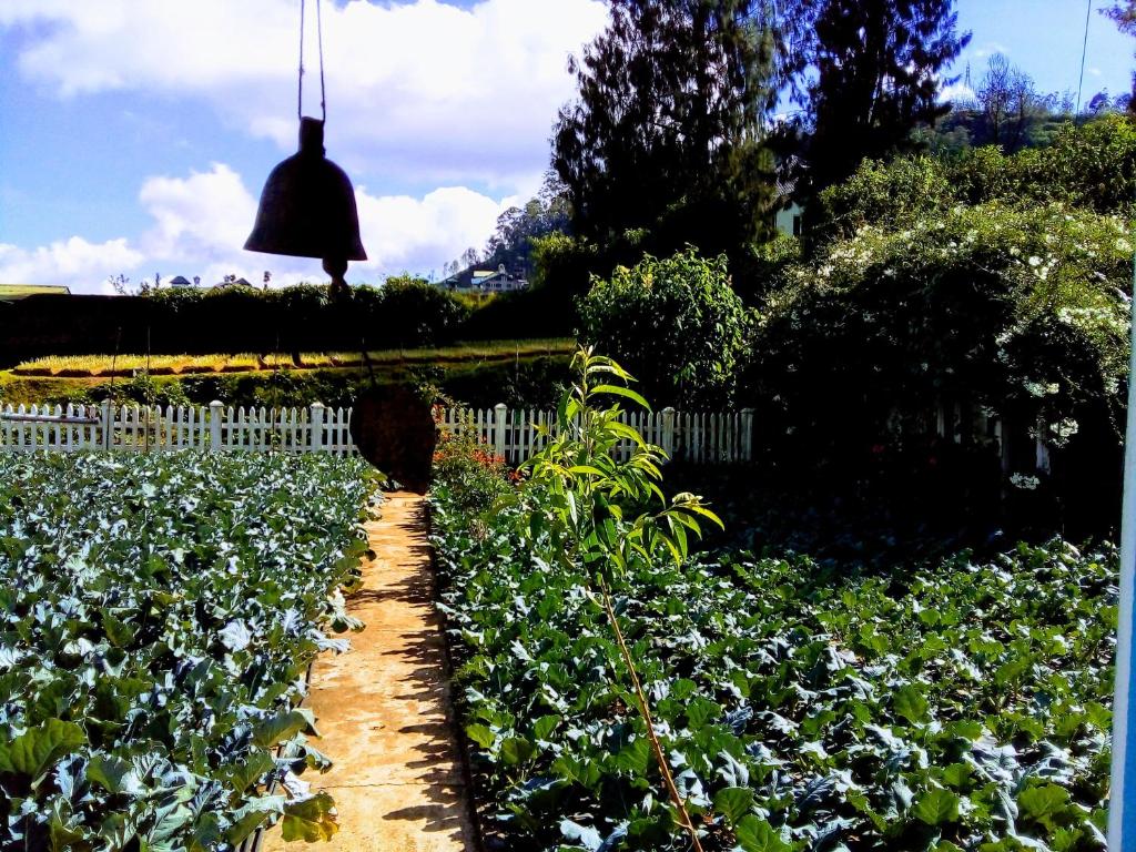 Zahrada ubytování Vibe way (Hostel & Market farm)