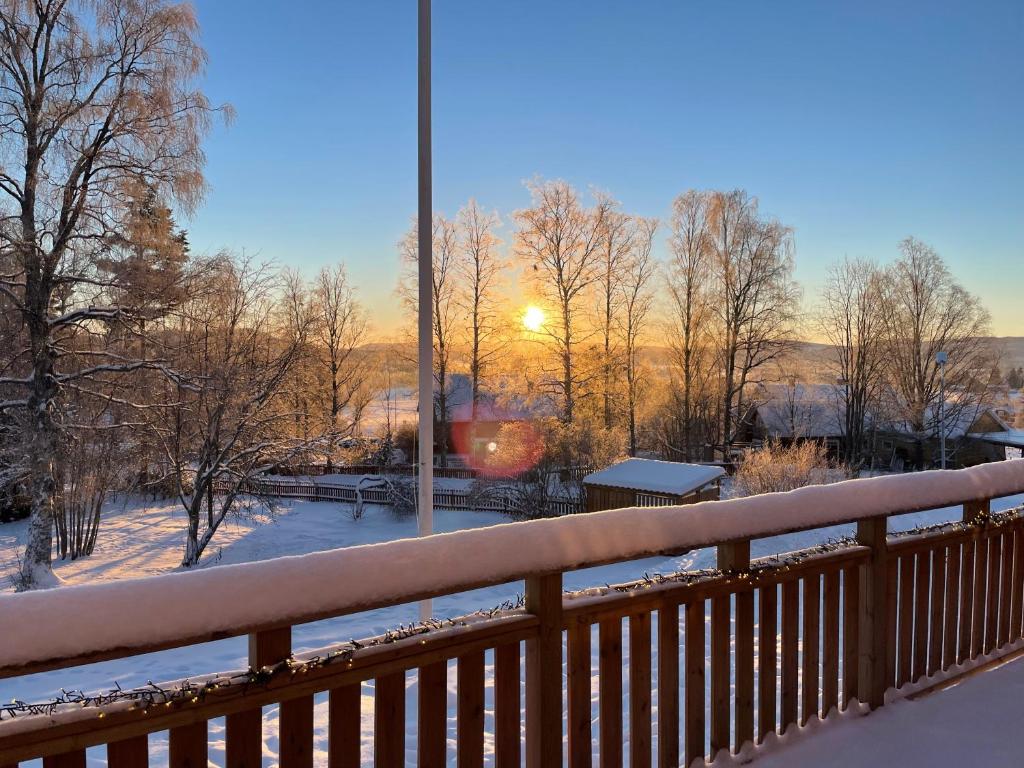 Příroda nedaleko apartmánu