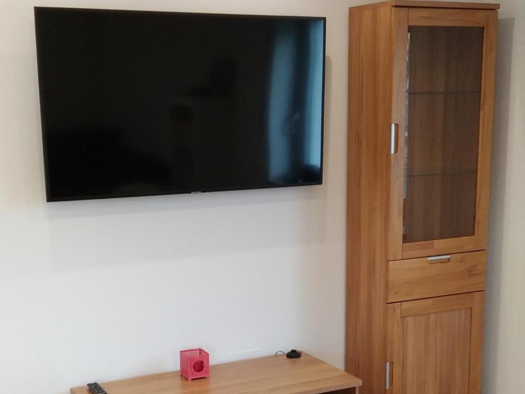 TV a/nebo společenská místnost v ubytování Ferienwohnung flussendlich