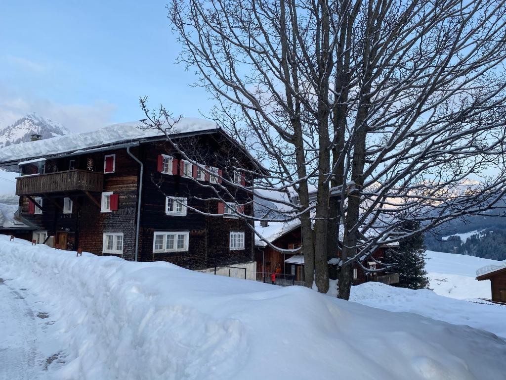 Příroda nedaleko apartmánu