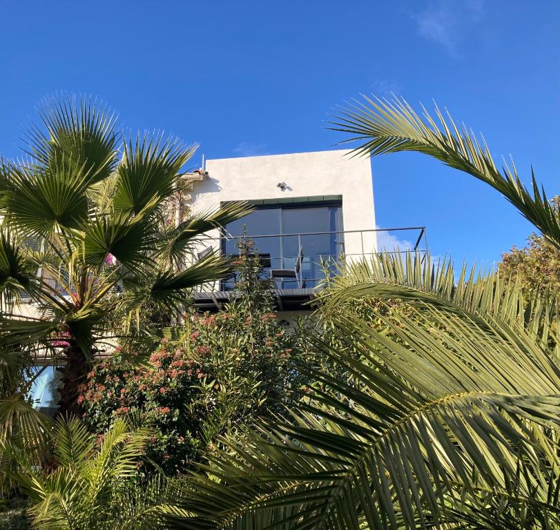 海濱布盧里斯的住宿－Le CUBE，前面有棕榈树的房子