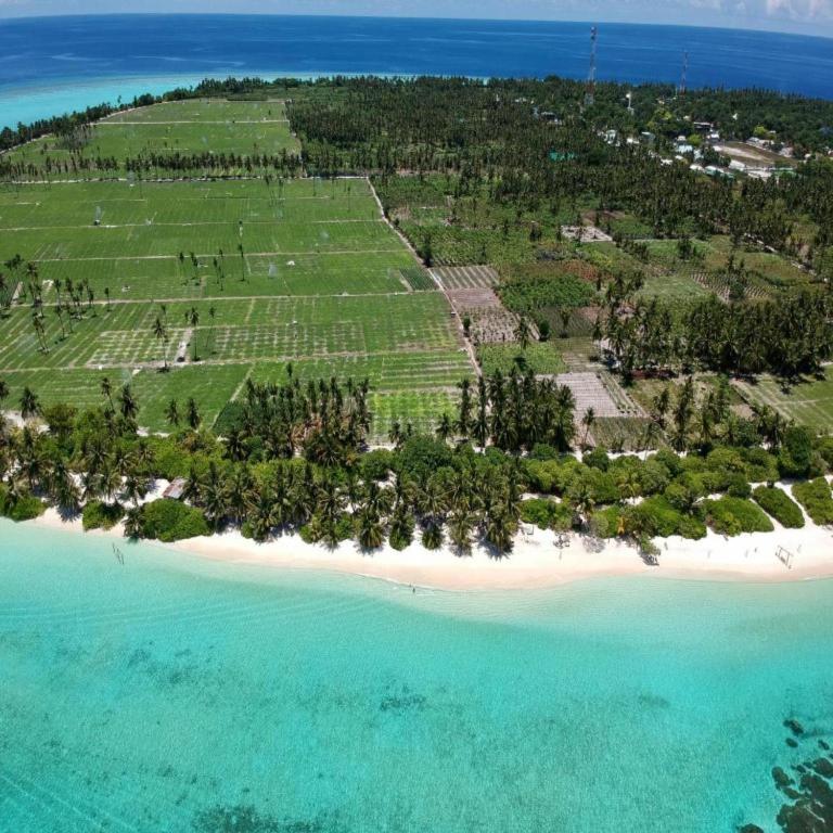 Thoddoo Haisha inn, Maldives - 2