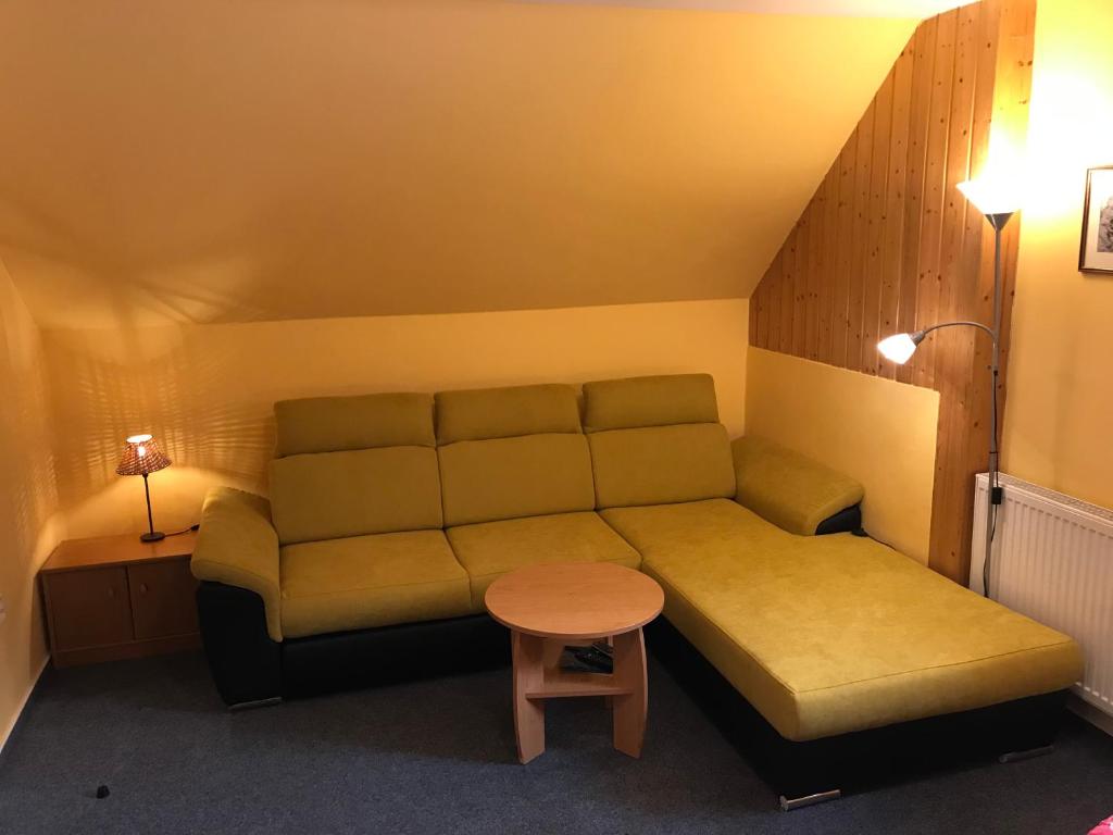 Pension Aura Špičák, některé pokoje se saunou - 15