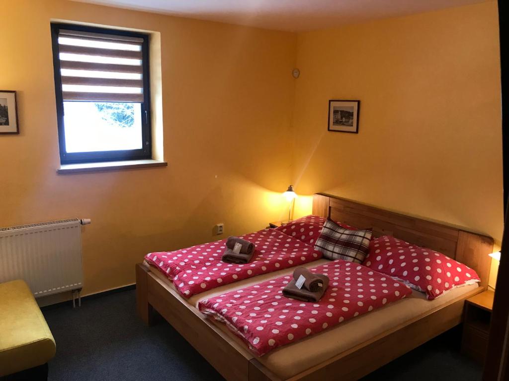 Pension Aura Špičák, některé pokoje se saunou - 16