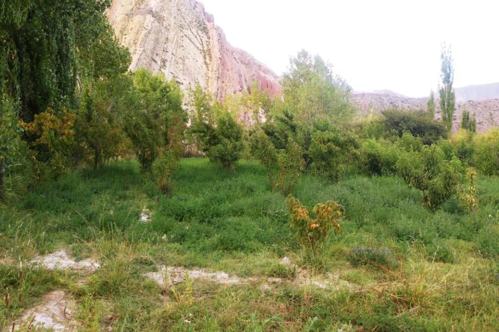 Cerro Amarillo, Cabaña de Juella - Two-Bedroom House