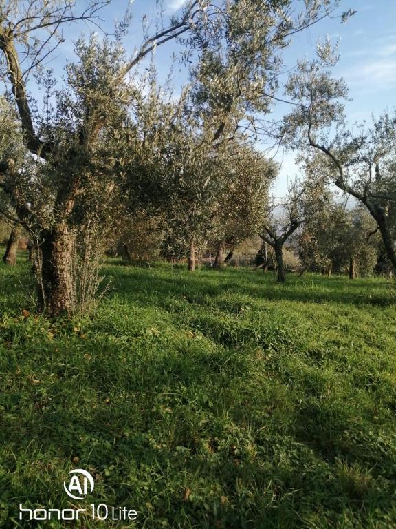 Kép Appartamento Serenella szállásáról Maenzában a galériában