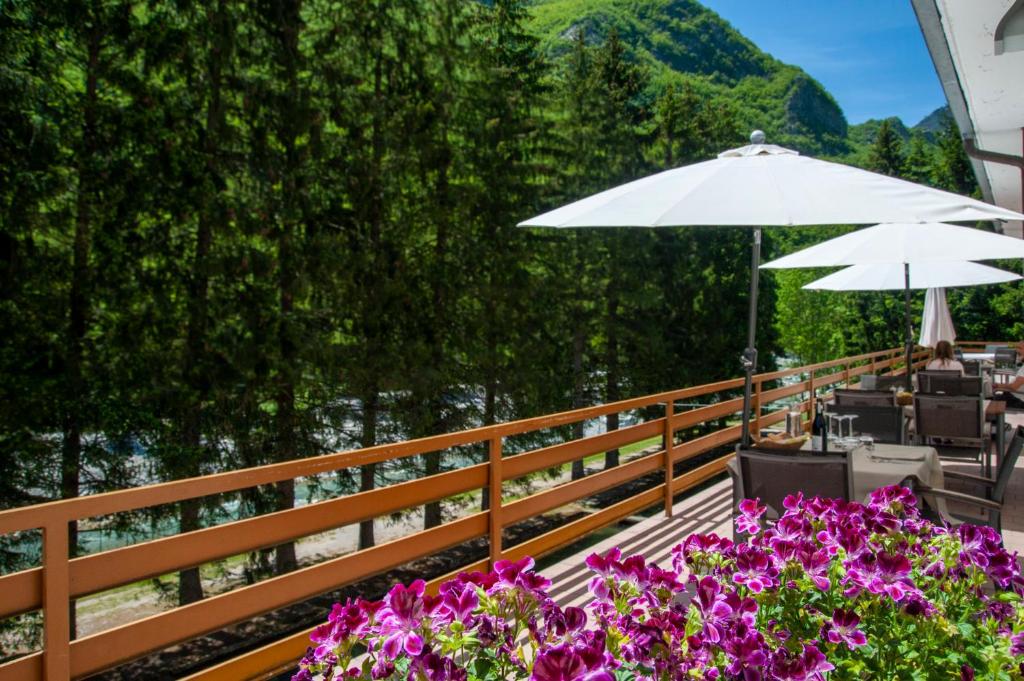 Příroda nedaleko hotelu