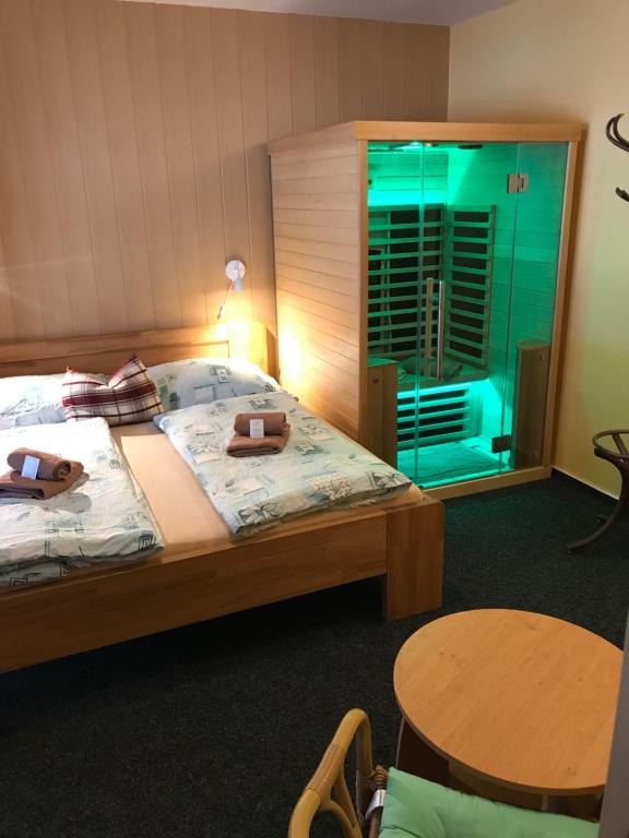 Pension Aura Špičák, některé pokoje se saunou - 18