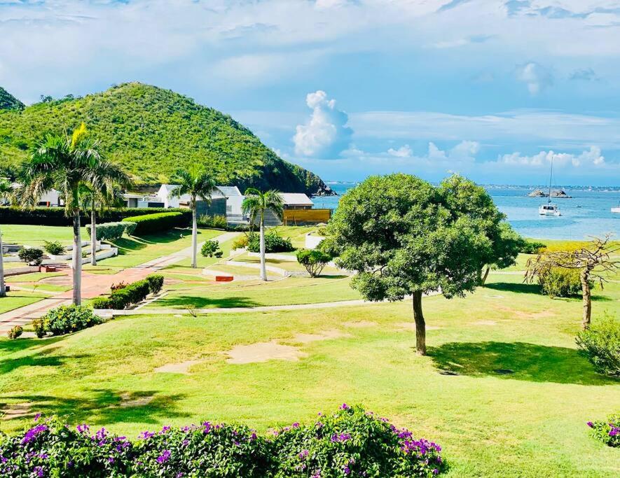 un parco con un albero e l'oceano sullo sfondo di Studio tropical, beautifully renovated, sea view ad Anse Marcel