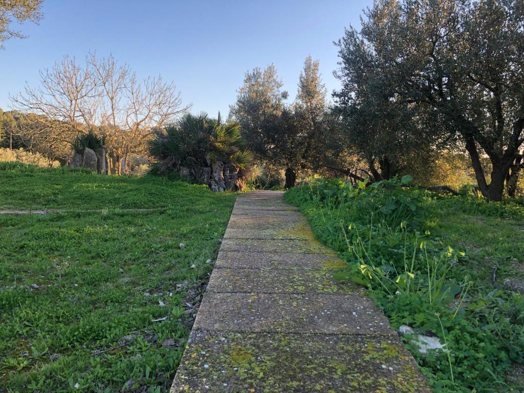 A garden outside Finca es Rafal, Agroturisme