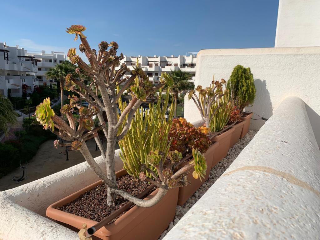 Fotografia z galérie ubytovania Mar de Pulpi Andalousie - Appartement "Chez les filles" v destinácii Pulpí