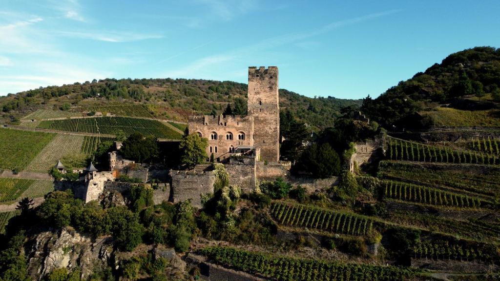 an old castle on a hill with vineyards at Burg Gutenfels in Kaub