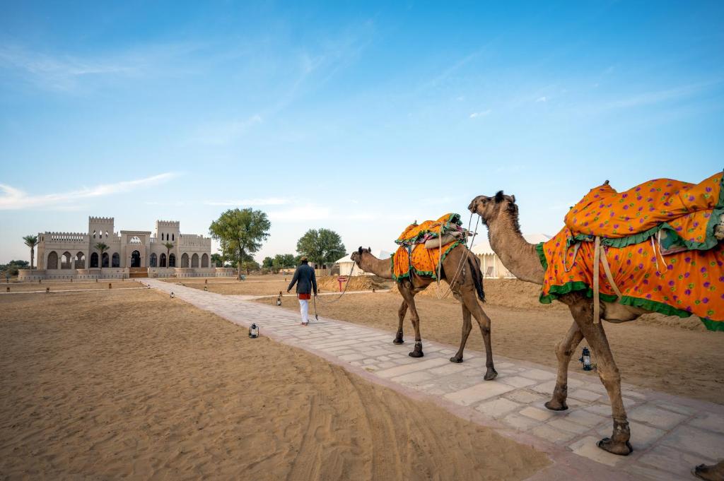 Επισκέπτες που μένουν στο Karwaan Jaisalmer