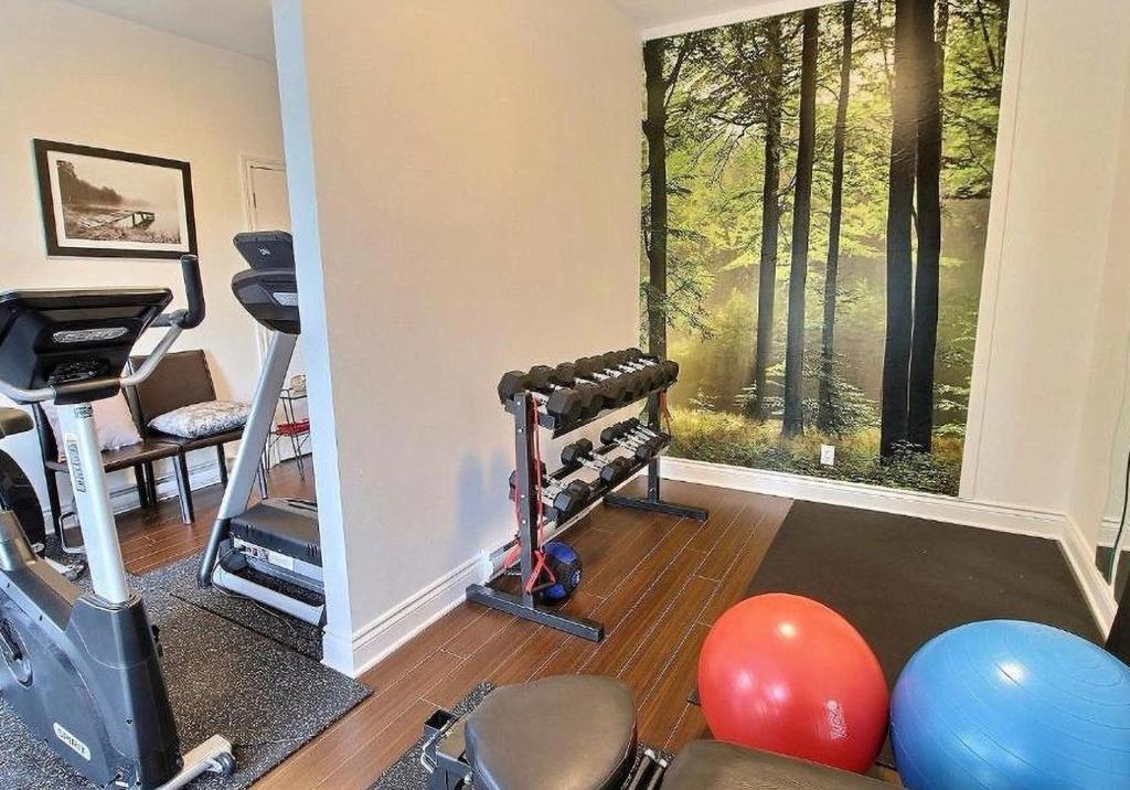 Fitness centrum a/nebo fitness zařízení v ubytování Le 201 Champlain Bromont