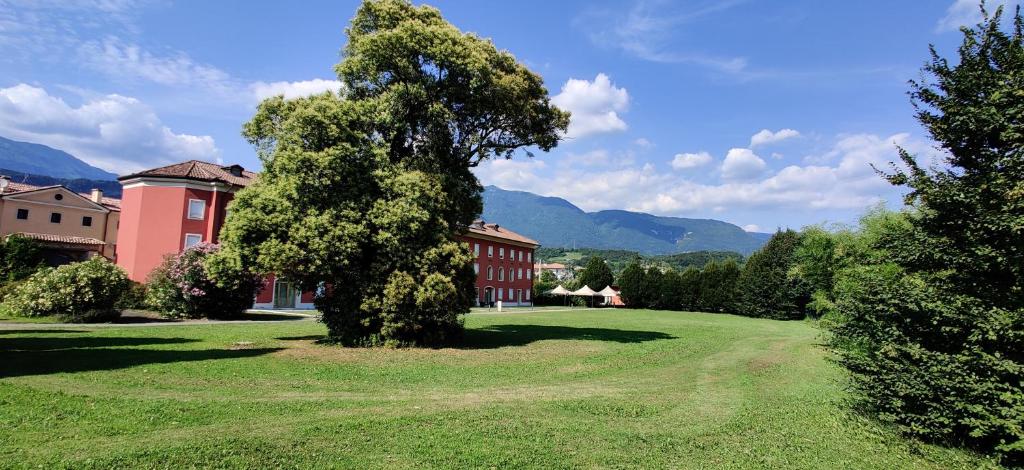 un albero in un campo vicino a un edificio di Marco Polo a Vittorio Veneto