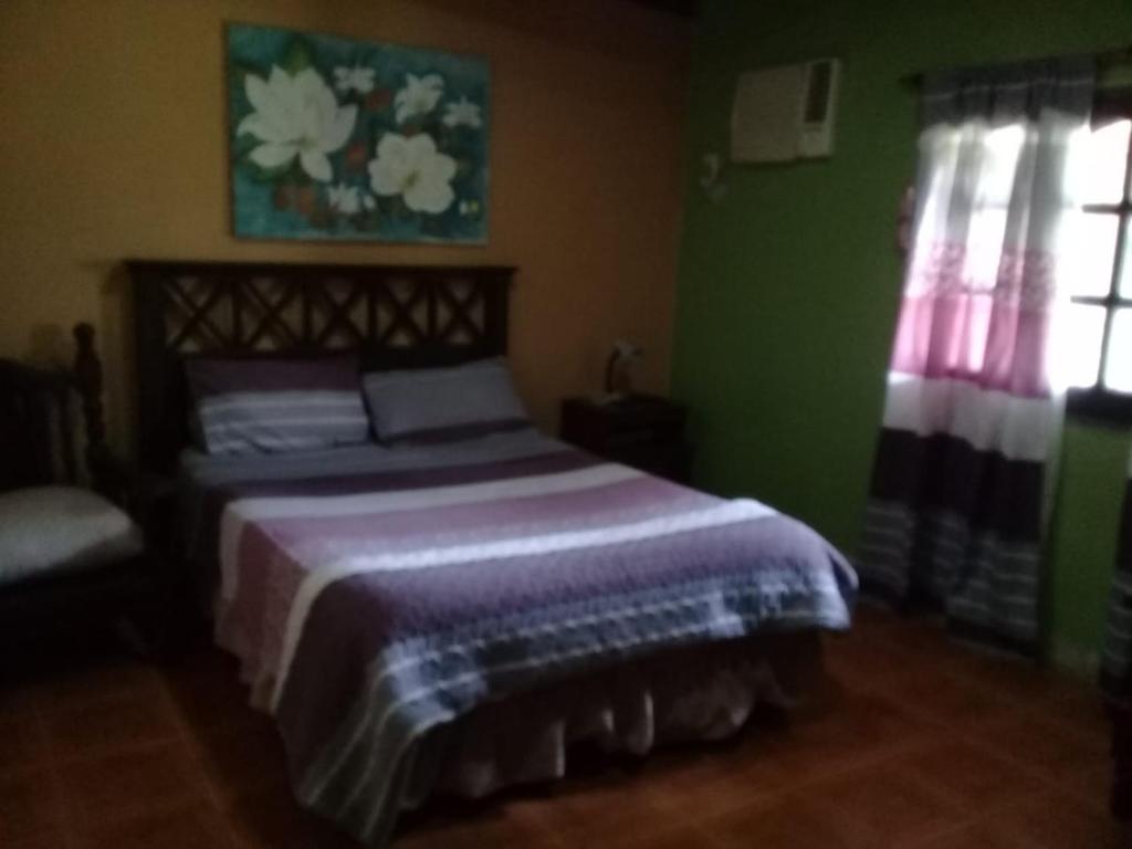 ein Schlafzimmer mit einem Bett in einem grünen Zimmer in der Unterkunft Óga Rory in Corrientes