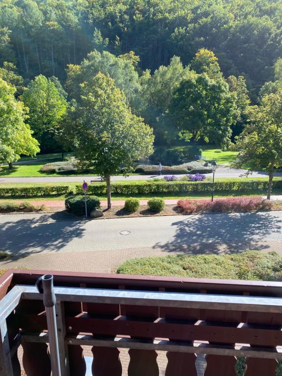 a view of a park with trees and a bench at Apartment am Park in Bad Lauterberg