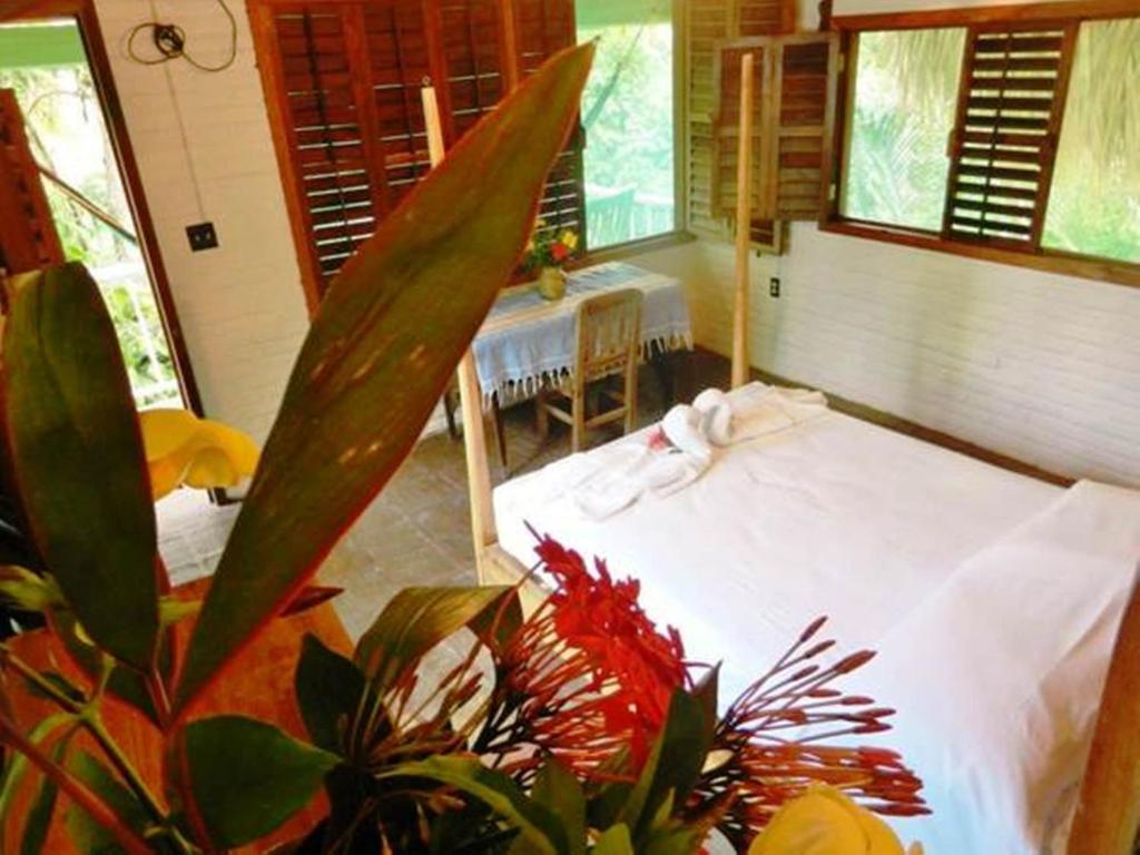 La Buena Vista - Chambre Double Standard Avec Ventilateur